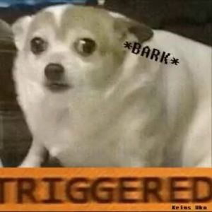 Meet your Posher, Hunter